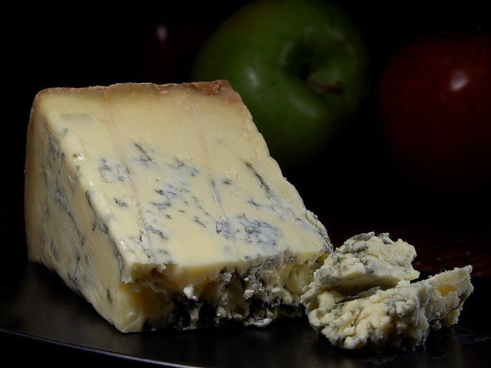 Stilton cheese with blue mold